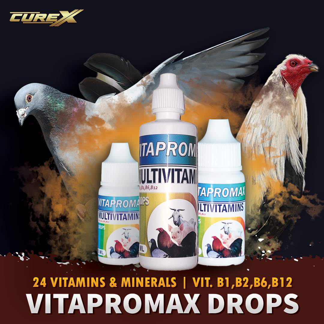 Vitapromax Drops