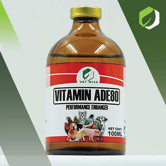 Vitamin ADE80 (100ML)