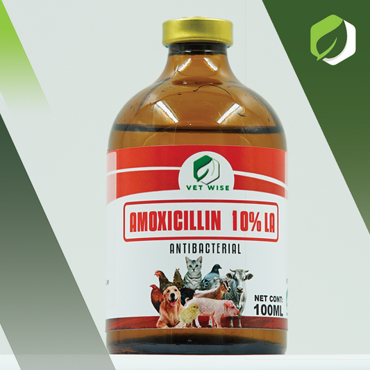 Amoxicillin 10% (100ML)