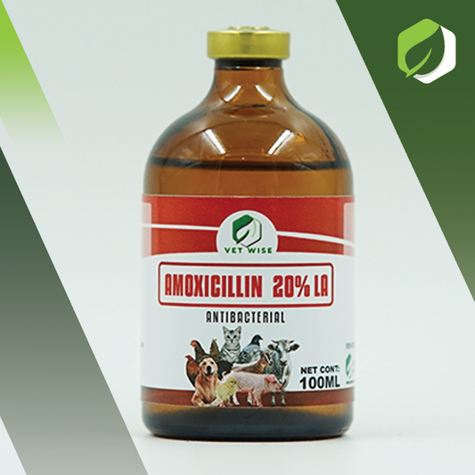 Amoxicillin 20% LA (100ML)