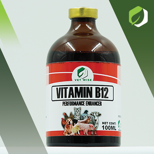 Vitamin B12 (100ML)