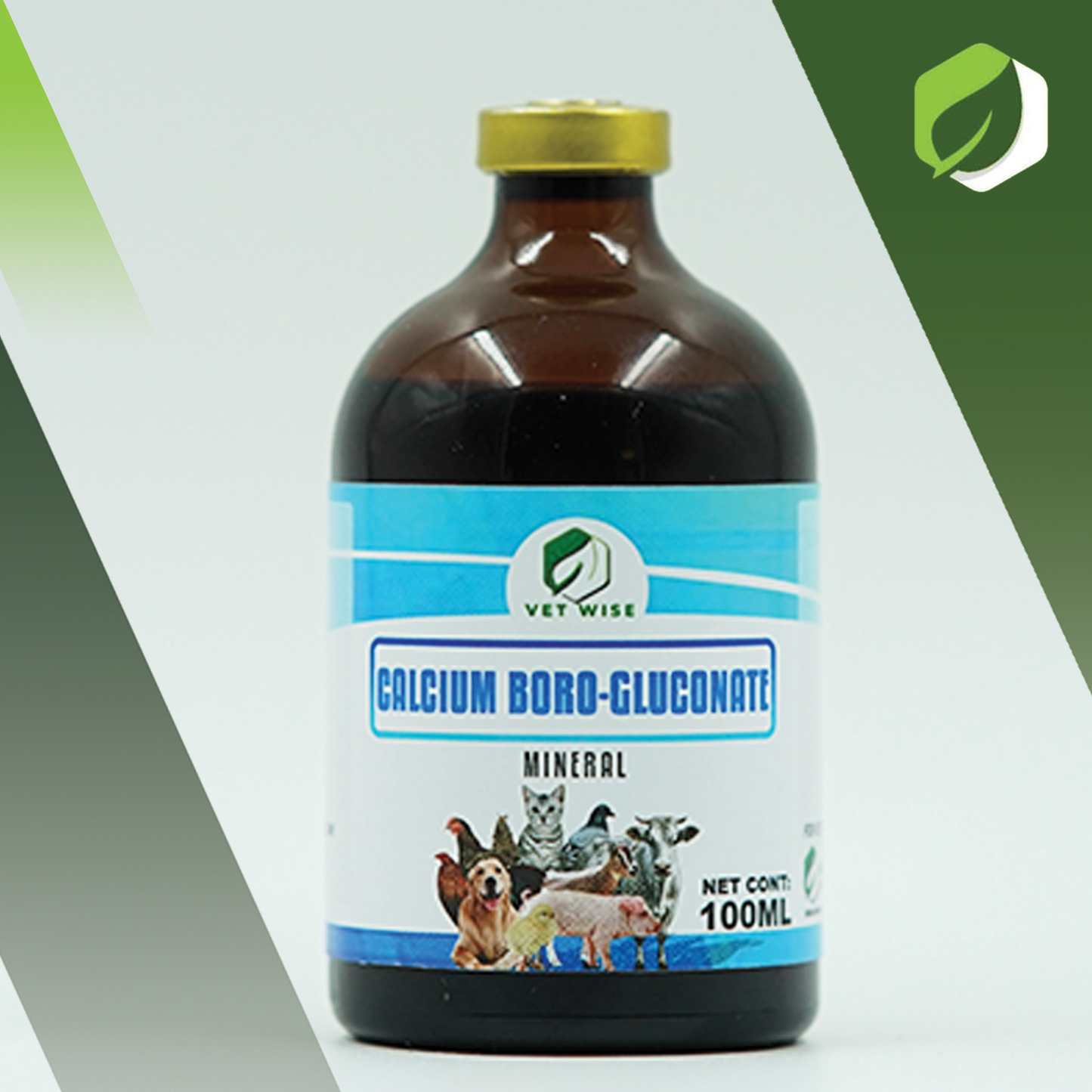 Calcium Boro-Gluconate (100ML)