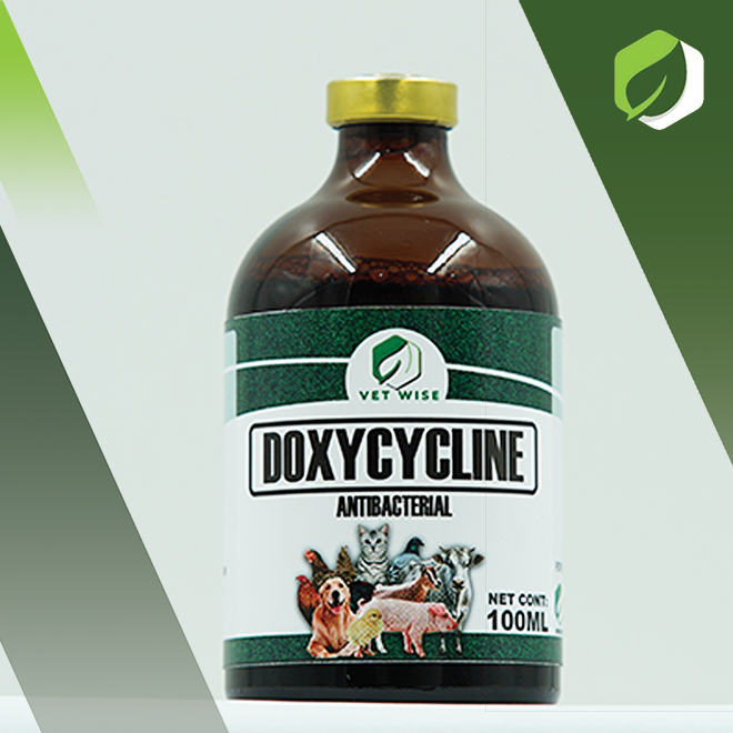 Doxycycline (100ML)