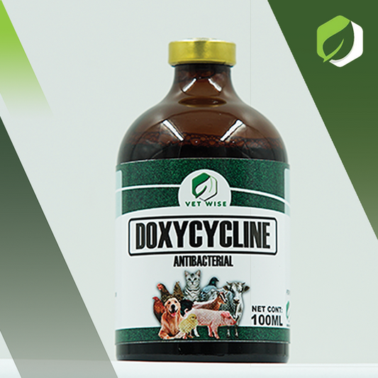 Doxycycline (100ML)