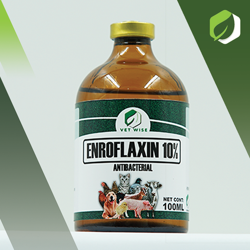 Enroflaxin 10% (100ML)