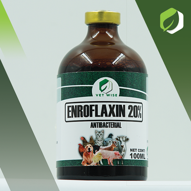 Enroflaxin 20% (100ML)