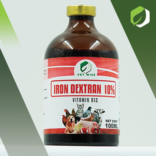 Iron Dextran 10% (100ML)