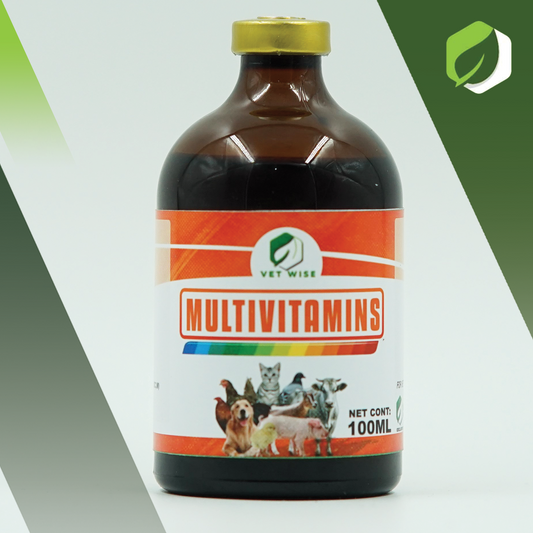 Multivitamins (100ML)