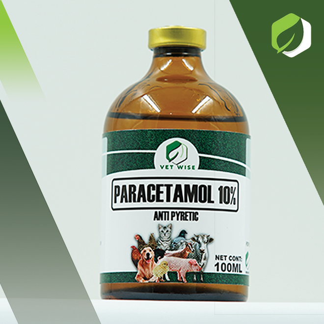 Paracetamol 10% (100ML)