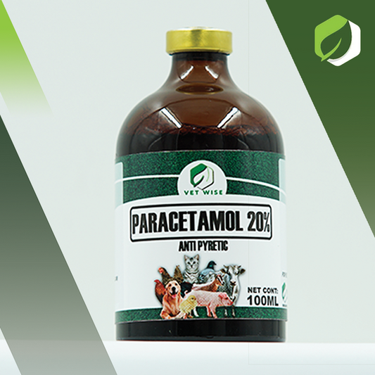 Paracetamol 20% (100ML)