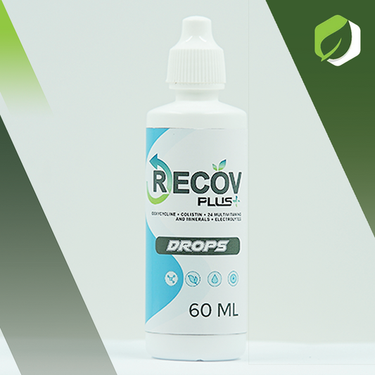 Recov Plus Drops (60ML)