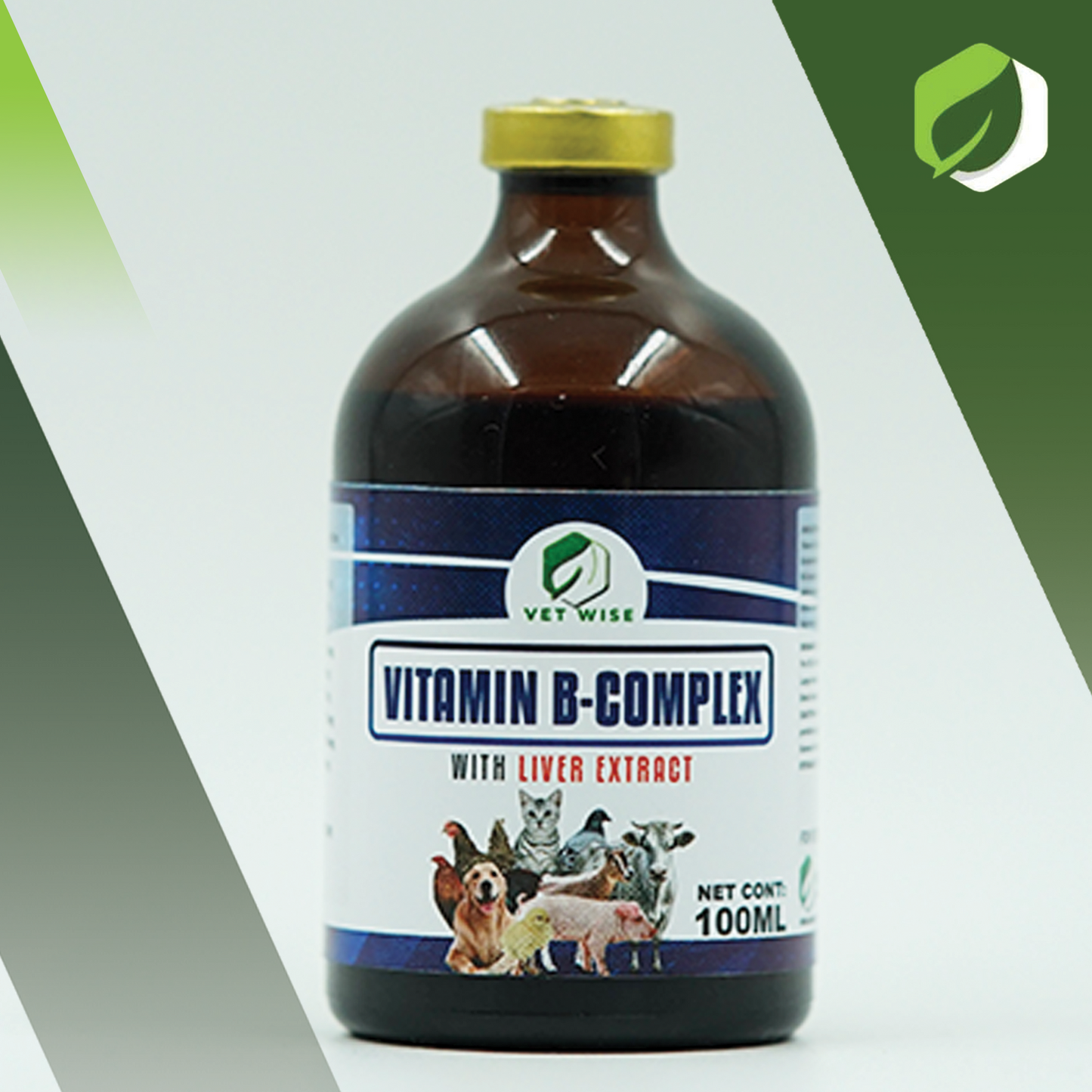 Vitamin B-Complex (100ML)