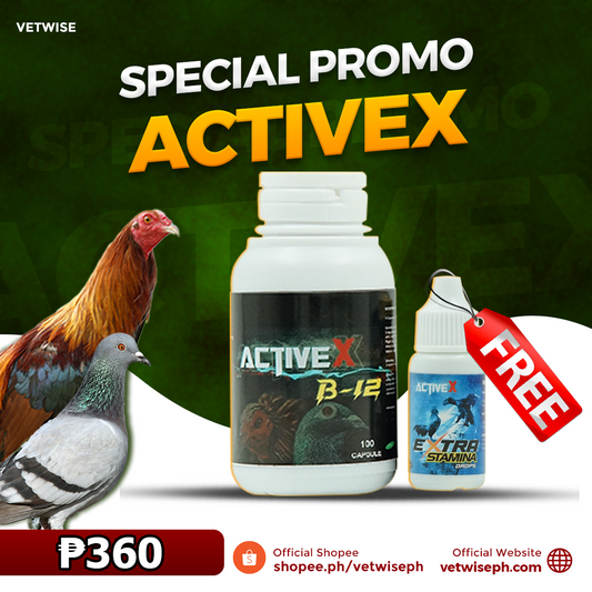 Activex B12 (100 Capsules)