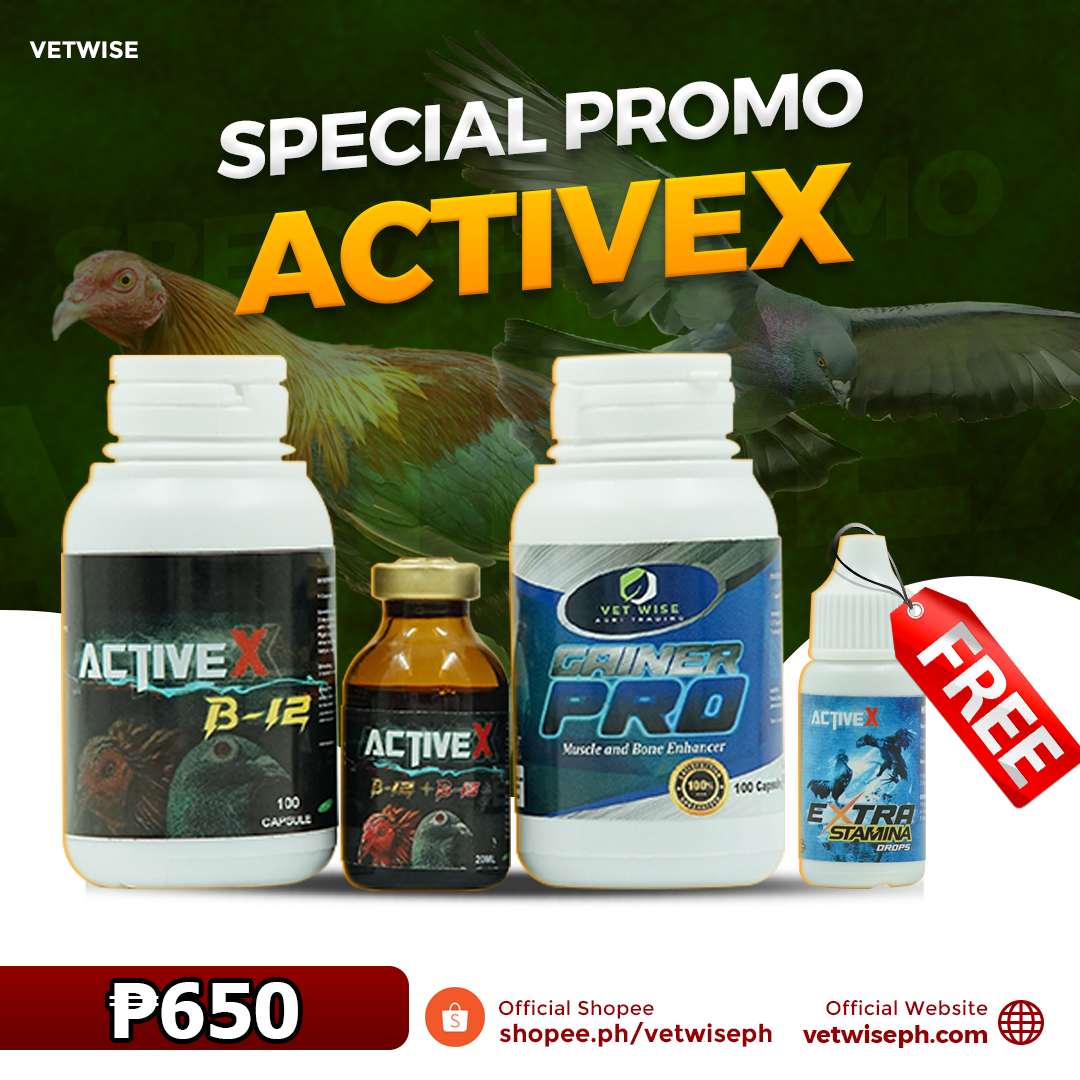 Activex B12 + Extra Stamina (SET)