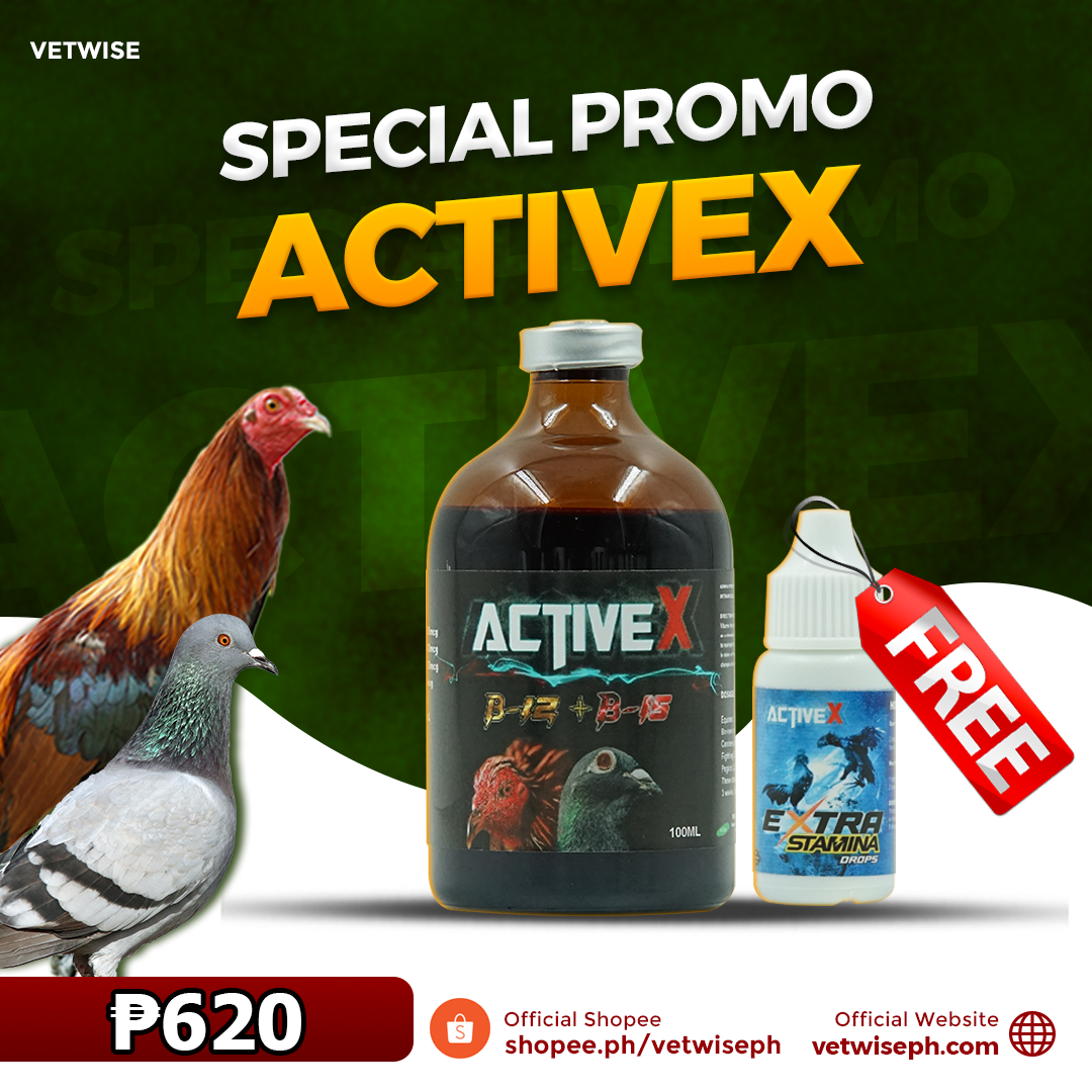 Activex B12+B15 (100ML)