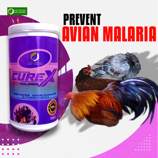 Curex Anti Malaria (1KG)