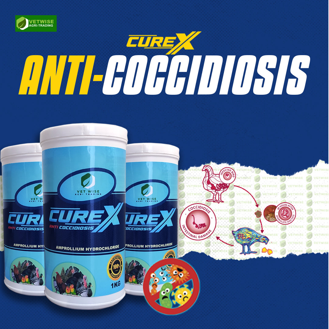 Curex Anti Coccidiosis (1KG)