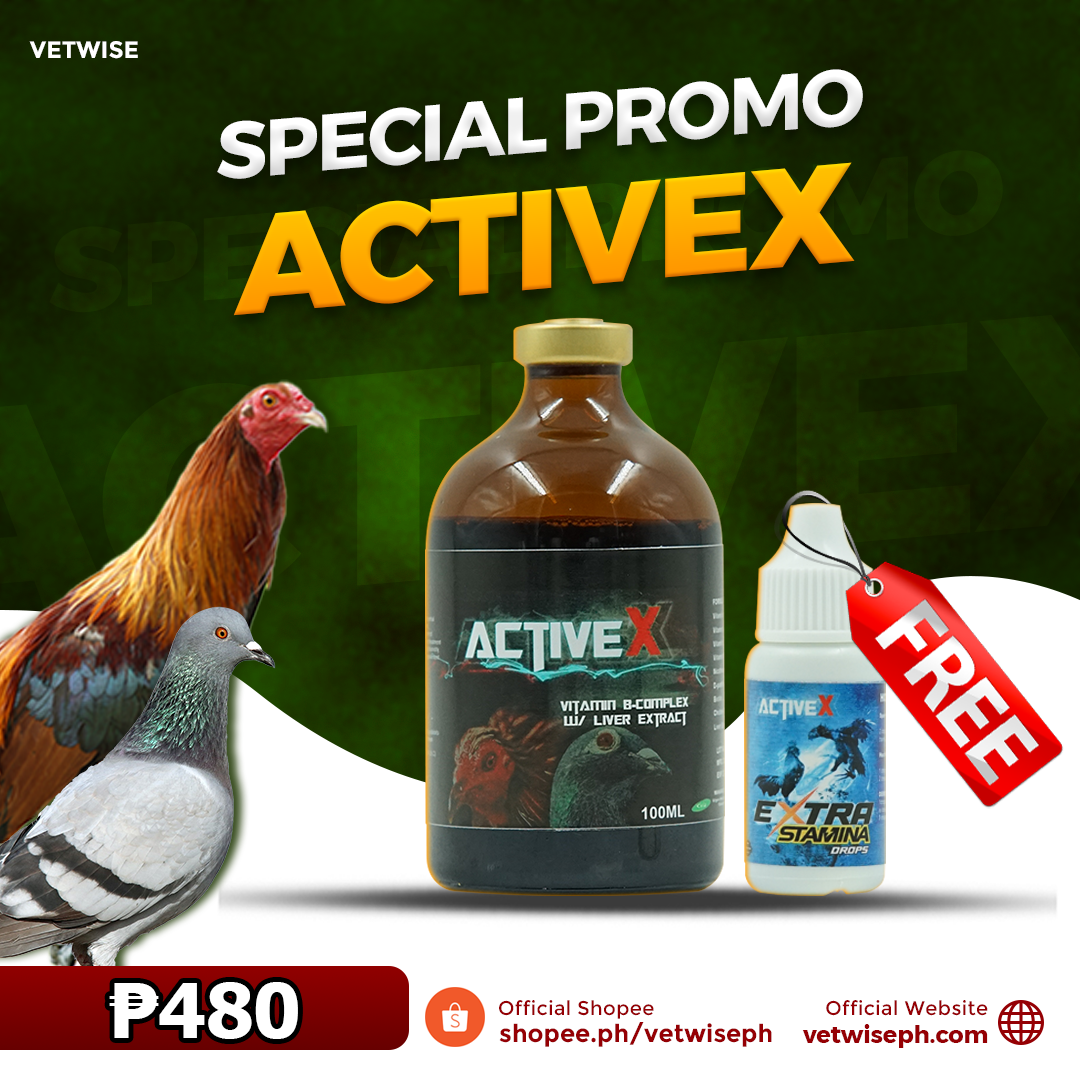 Activex Vitamin B-Complex (100ML)