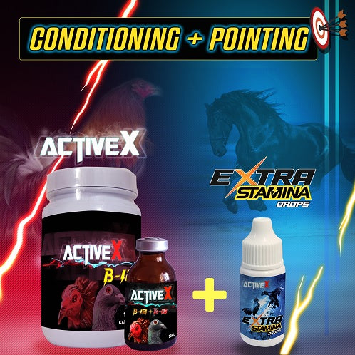 Activex B12 + Extra Stamina (SET)