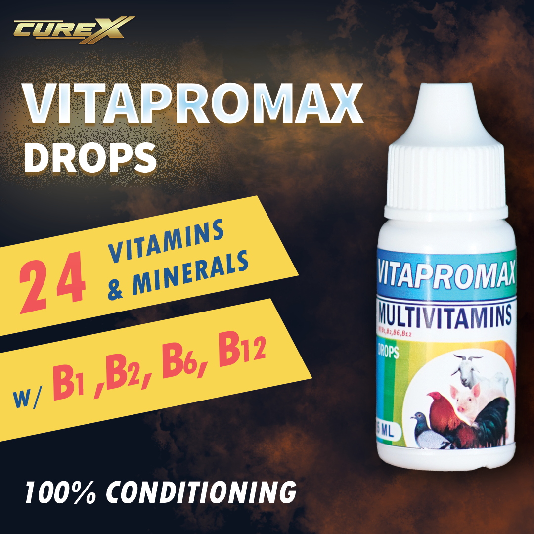 Vitapromax Drops